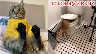Funny animals! Funniest Cats and Dogs - 108 by Domi show 151,924 views 5 days ago 19 minutes