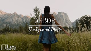 Arbor : Solo Piano Melancholy Dreamy Background Music screenshot 2
