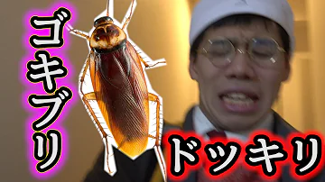 تحميل フィッシャーズ虫ドッキリ تحميل フィッシャーズ虫ドッキリ