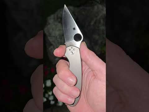 Spyderco Para 3 mimeo       