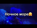 Ночное море | Морской Аквариум | Актинник | Освещение в морском Аквариуме | Кораллы в лунном свете