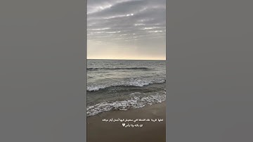 سورة الشورى القارى ماهر المعيقلي🤍#القرآن_الكريم#سورة_الشورى#ماهر_المعيقلي