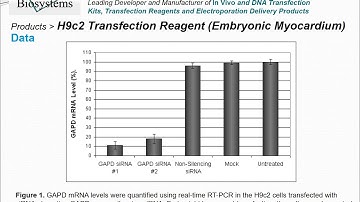 Altogen Biosystems H9c2 Transfection Reagent