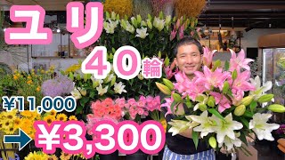 出るたびに完売❗️毎年恒例の安眠効果の甘〜い香り　『大輪ユリ 』４０輪以上　限定数のみ販売。
