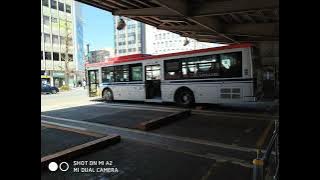 Whistle Blowing At Bus Terminal - Sound Effect (ASMR) . The bus needs to be parked backward.