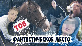 ТОП Красивые места ВКО. Учимся ездить на лошади. Страшный случай / Парень порезал за пиво. Часть - 2 ТОП Красивые места ВКО. Учимся ездить на лошади. Страшный случай / Парень порезал за пиво. Часть - 2
