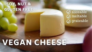 Vegan Mozzarella & Cheddar Cheese Recipes | Soy, Nut & Gluten-Free by YdaJun's Plant-based Kitchen 13,333 views 3 years ago 3 minutes, 47 seconds