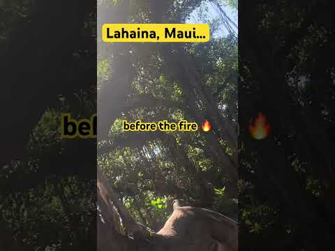 #Lahaina Maui | I was just there… before the #fire! It will never be the same | #Hawaii fire