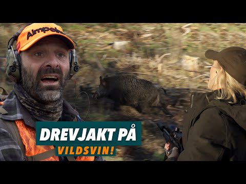 Video: Vilken superstjärna dök upp i fauji?