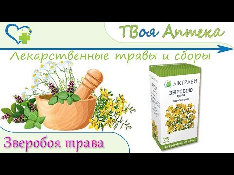 Зверобоя трава - показания, описание, отзывы (Гингивит, Стоматит, Гастрит, Метеоризм, Холецистит)