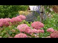 Flower Garden Tour // Northlawn Flower Farms