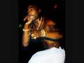 2 PAC HOUSE OF PAIN OG 2 PAC HOUSE OF PAIN OG
