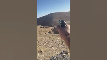 مشكلة مسدس طارق 