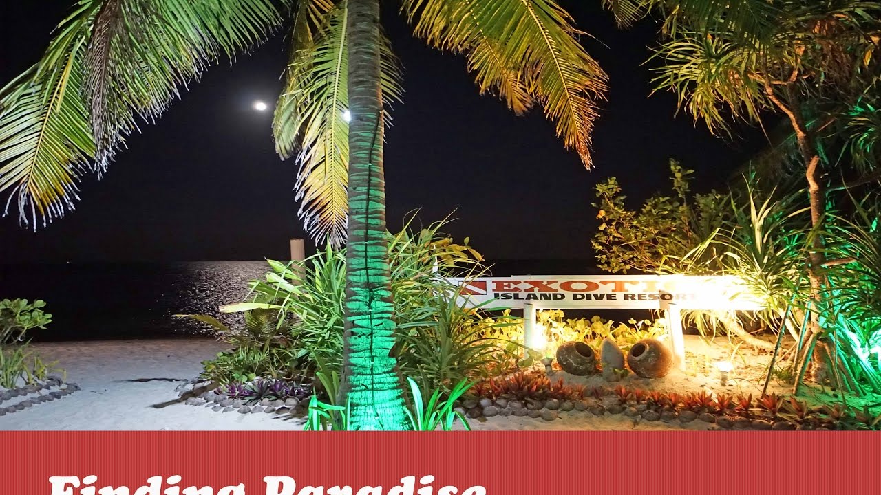 Malapascua Exotic Island Dive & Beach Resort | Best Resorts in Malapascua