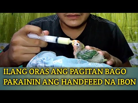 Video: Ilang Beses Sa Isang Linggo Upang Magsanay?