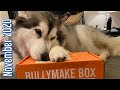 Malamute unbox November Bullymake box