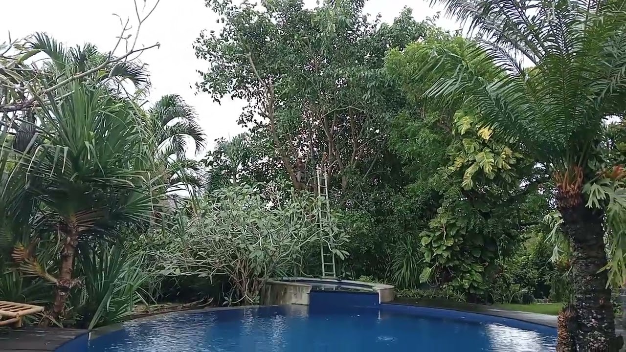 Pemangkasan Cabang pohon yg membahayakan keselamatan penghuni villa 🙏