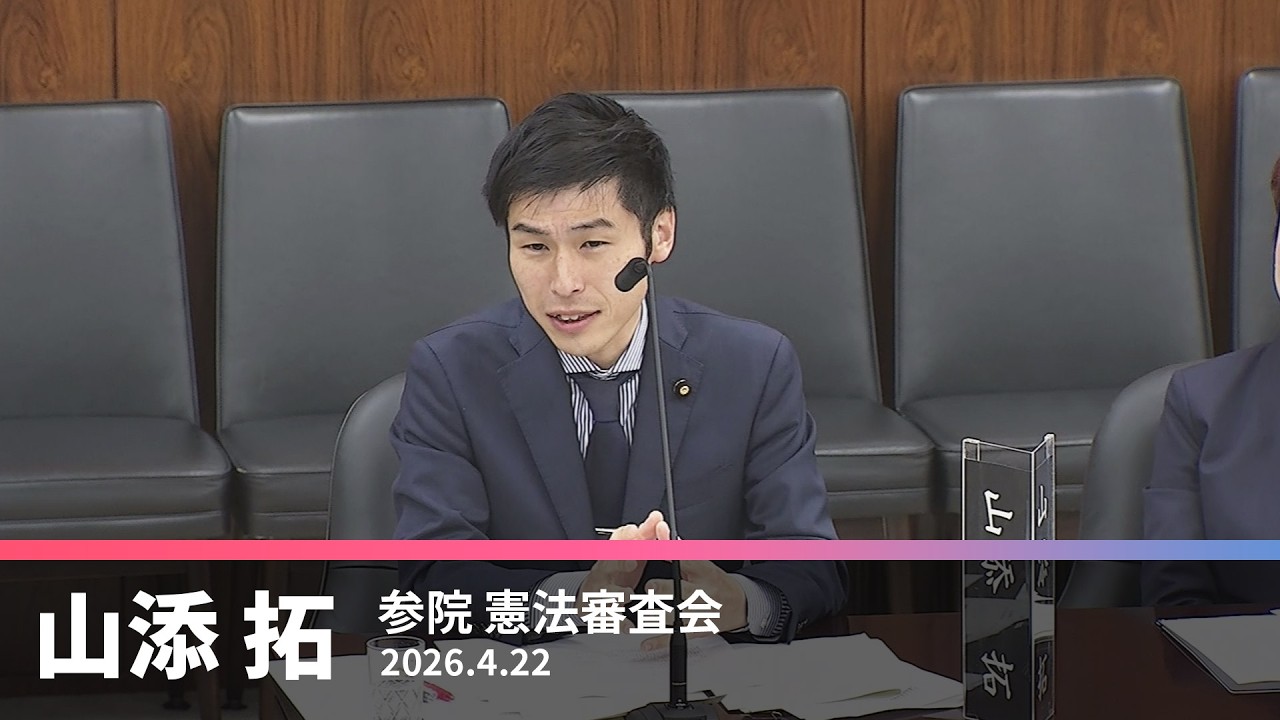 Regarding the electoral system, the Constitutional Review
