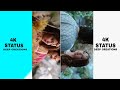 Panchi Bole Hai Kya 4K Full Screen Status Video | Deep Creations ❤️