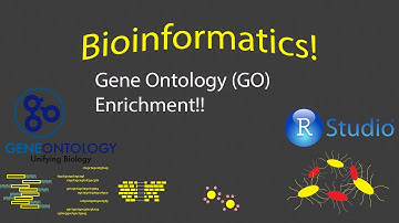 Bioinformatics - Gene Ontology (GO) Enrichment Analysis