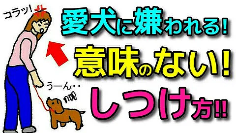 エマチャンネルとまる エマチャンネルとまる