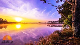 432Hz Majestic Ethereal Mornings Music - Uplifting Music To Elevate Your Morning New Fresh Day