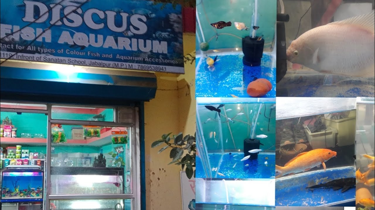 VISITING TO DISCUSS FISH 🐟🐠AQUARIUM 😱 JABALPUR MADYA PRADESH MP OWNER