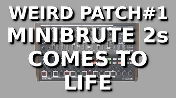 Weird Patch #1 #MiniBrute 2s comes to life (with patch sheet)