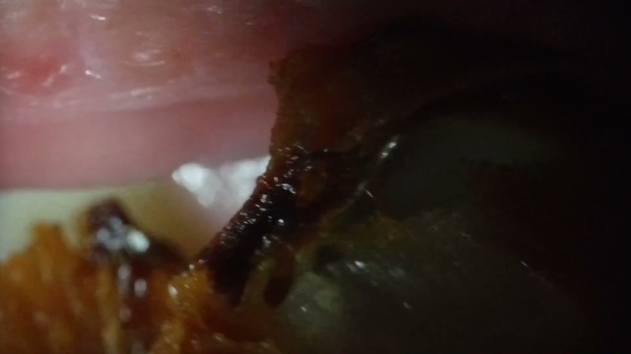 ASMR macro crunchy fried chicken homemade | ASMR_macro