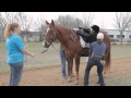 Equestre equitation thrapeutique  m3 films