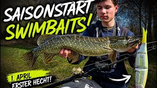 Hechtangeln mit Swimbaits – Saisonstart läuft! 🔥
