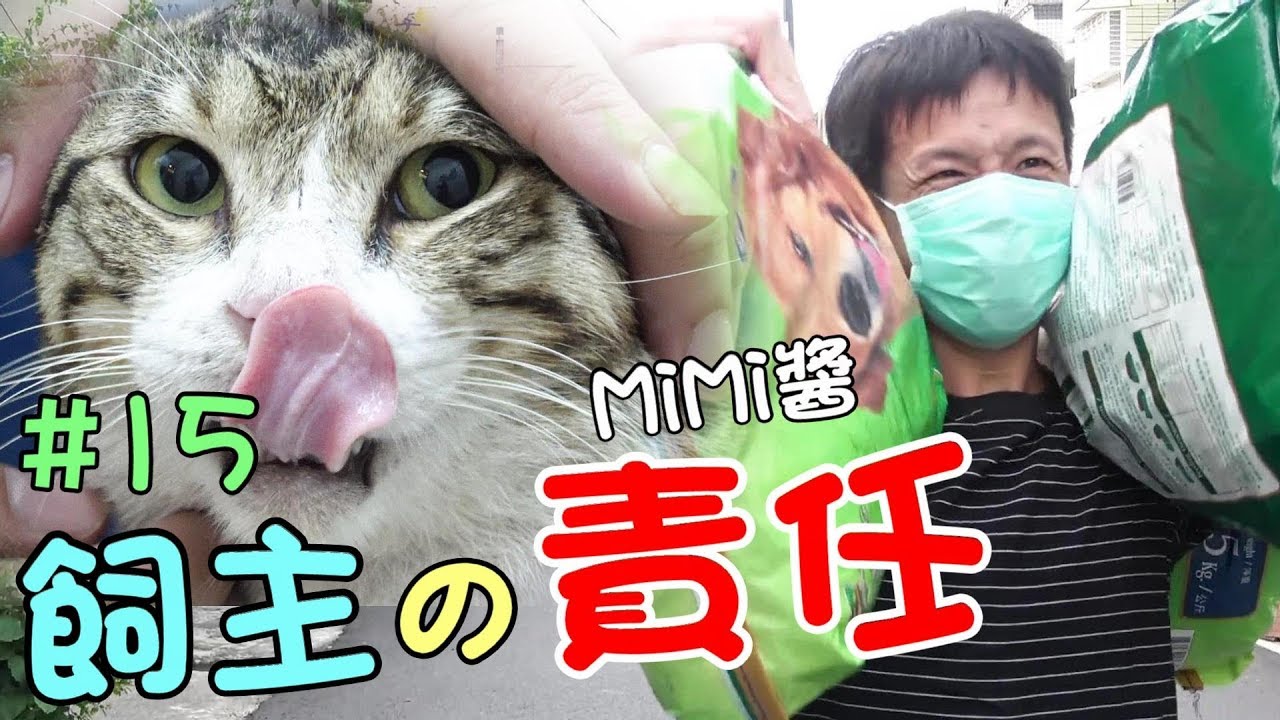 『飼主的責任』收養貓咪，就要愛他一輩子-MiMi醬 Cat Story#15