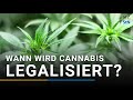 Wann wird Cannabis in Deutschland legalisiert?