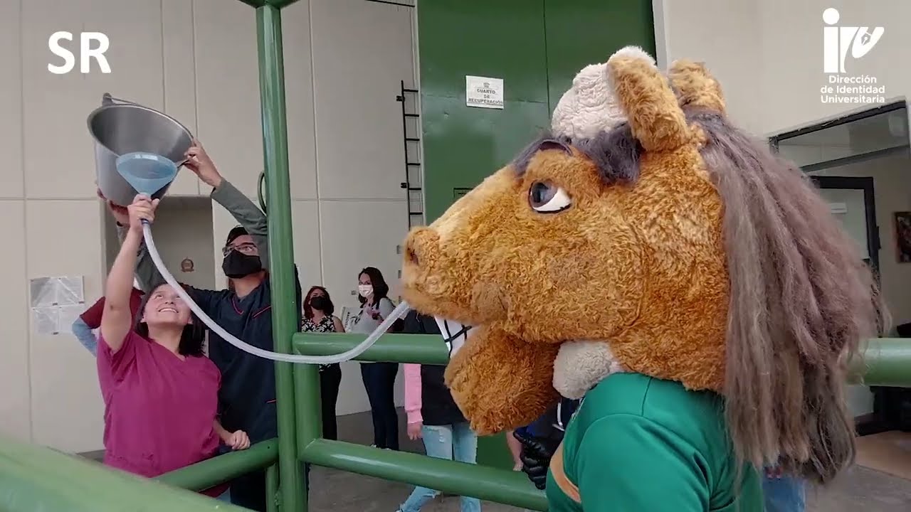 Veterinaria campus Amecameca UAEMex.