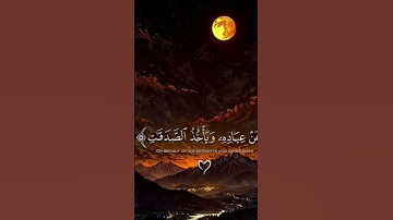 لا تهرب من القران الكريم اسمع وقل ما رايك لا تهرب الله سوف يشهد عليك يوم القيامه 😭