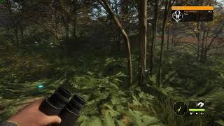 theHunter  Call of the Wild | Shot with GeForce