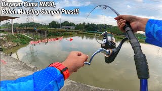 Cuma Bayar RM30 Boleh Mancing di Kolam Ikan Patin Sampai Puas!!