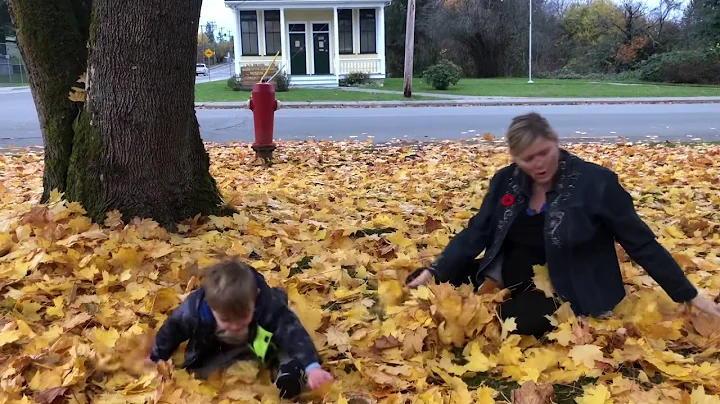Riley and Brooklyn - fun in the autumn leaves with...