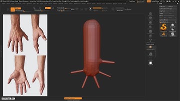 Introduction to Zbrush 14 - Hand 01