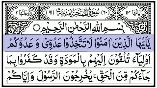 Surah Mumtahina (سورة الممتحنة) | Amazing Calm Relaxing Quran Recitation HD