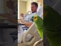 The only diagnosis Rico approved: ‘Needs more cheese 😂🦜 #shorts #viral #parrot