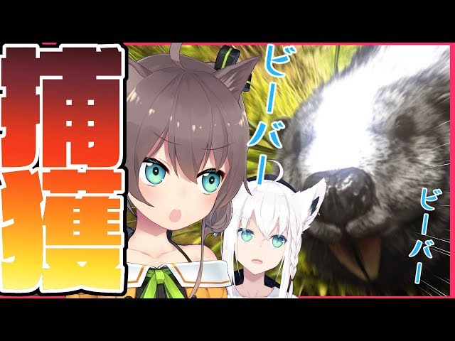 【Ark: Survival Evolved】夏色吹雪のビーバー捕獲作戦!!!!!!【#とまらないARK】のサムネイル