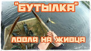 Ловля на бутылку 2020. Щука берет на живца - карася.  Много поклевок.