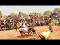 Kongu brothers in pavali  in tn hosur bull fans 