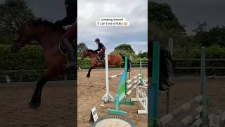 Jumping lesson with Mocha! #horse #horses #horseriding #horsegirl #riding #equestrian #pony #horsey