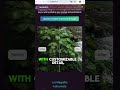 Websites that feel illegal to know 👀 Part 57 #hackwithantonio #hack #hacker #tips #website #app