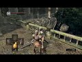 Dark Souls no death run #112