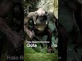 Halo Reach Every Type of Wildlife 2010 Halo Reach Every Type of Wildlife 2010