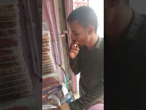 هضفه بير باشا 