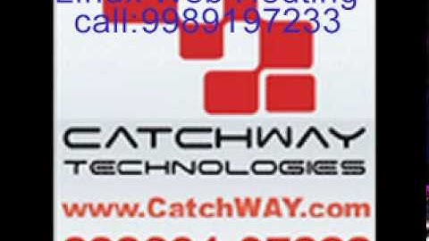 Web designing Jaipur Catchway Technologies call 9989197233.mpg